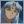 sesshomaru2000