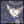 Gehenna