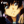 AnimeArcAngel
