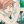 AnimeFox223