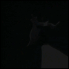 Riftseeker's Avatar