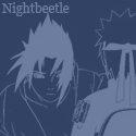 Nightbeetle's Avatar