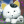 Maneki Neko22