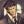RogerSmith1985