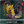 Darkness5671