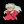y InuYasha