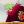 Bartolomeo