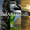 lliilartistiilli's Avatar