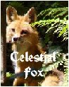 Celestial Fox's Avatar