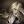 666Daemon