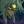 Marik e Ann