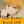 Kagura-Sohma