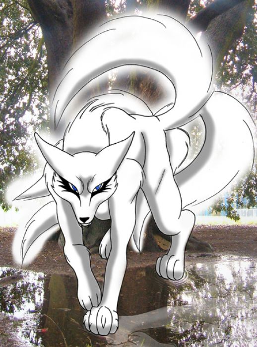 Houkou The Five Tailed Demon