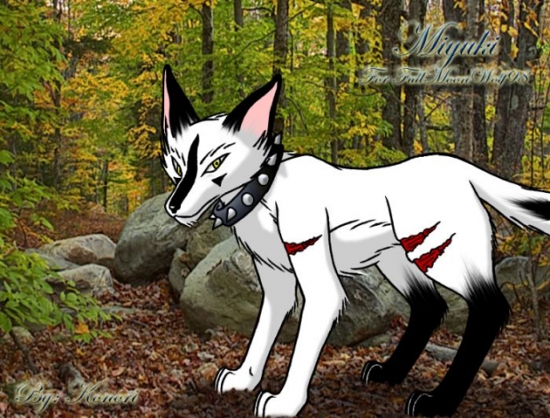 Miyuki For Fullmoonwolf98