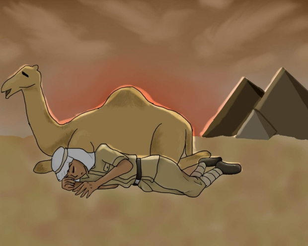 Desert Nap