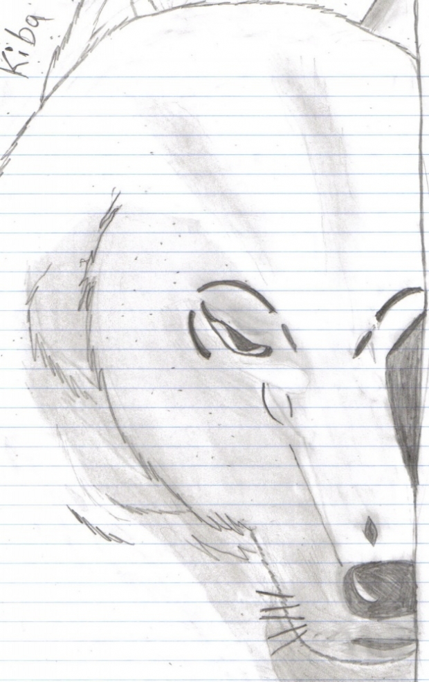 Kiba Basking In The Moonlight