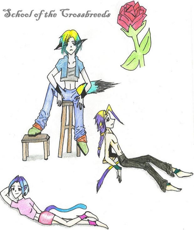 School Of Crossbreeds