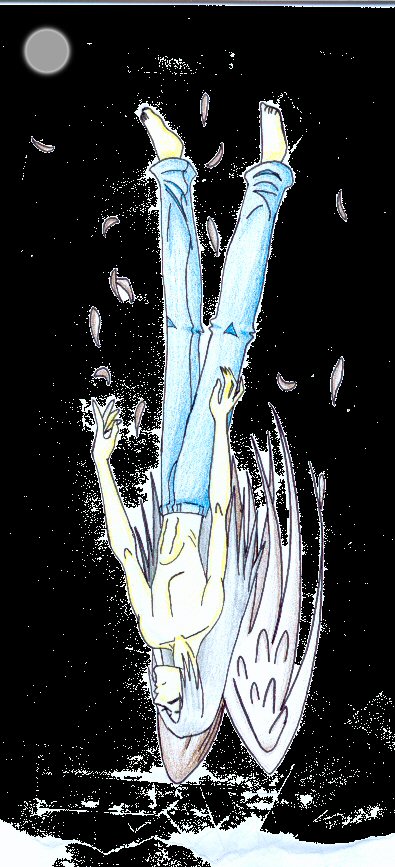 Night Sky (fallen Angel)