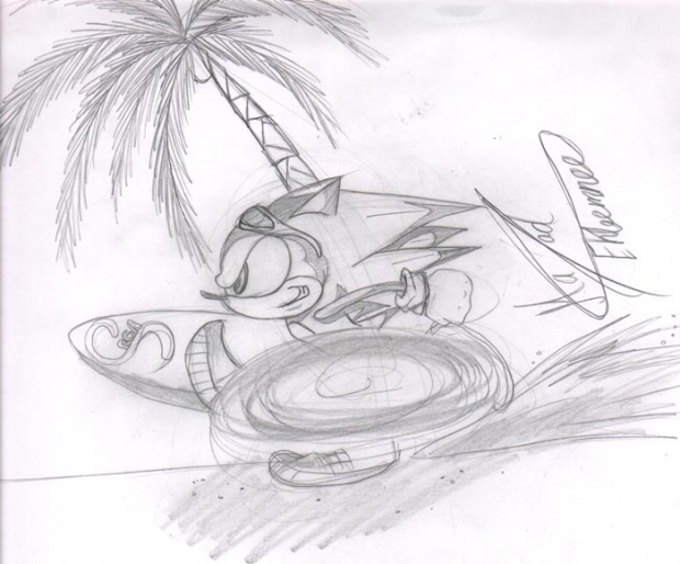To The Beach With Sonic