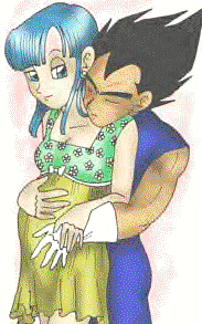 Bulma and Vegeta