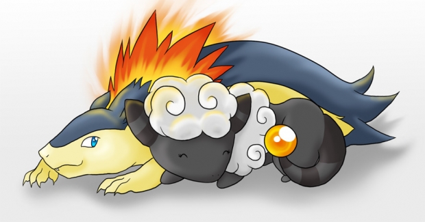 Flaffy and Typhlosion