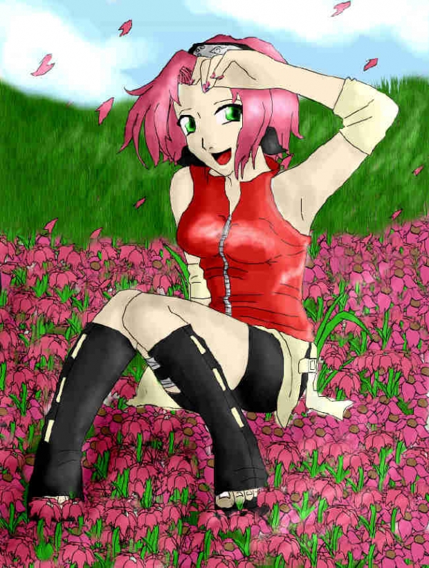 Sakura