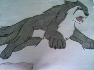 Shadow Jumping Again