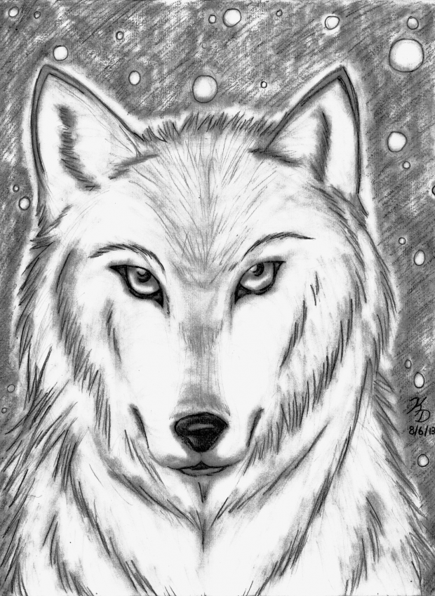 White Wolf (pencil)