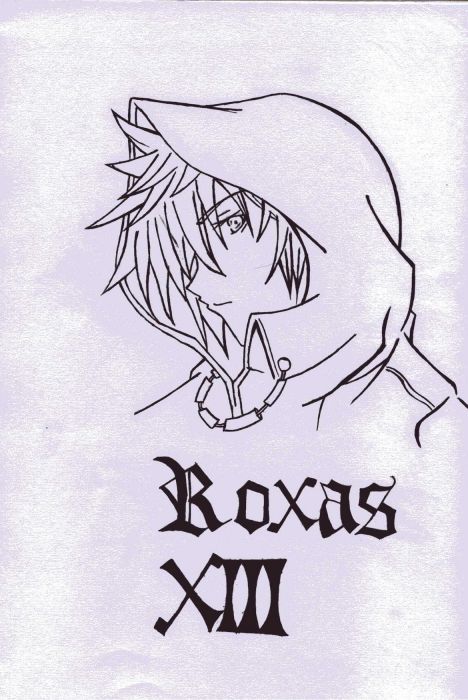 Number Xiii - Roxas