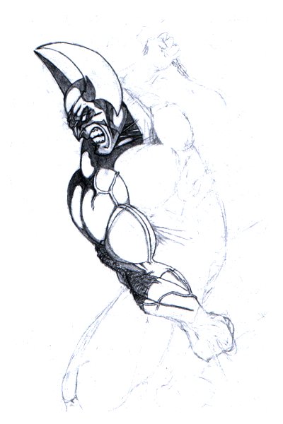 Wolverine Slash