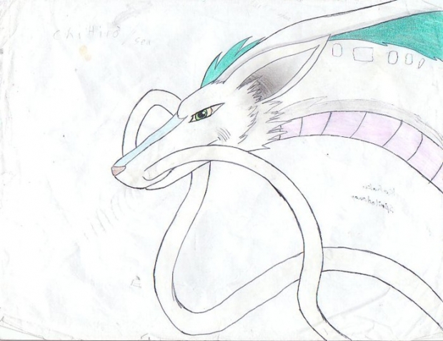 Haku Dragon