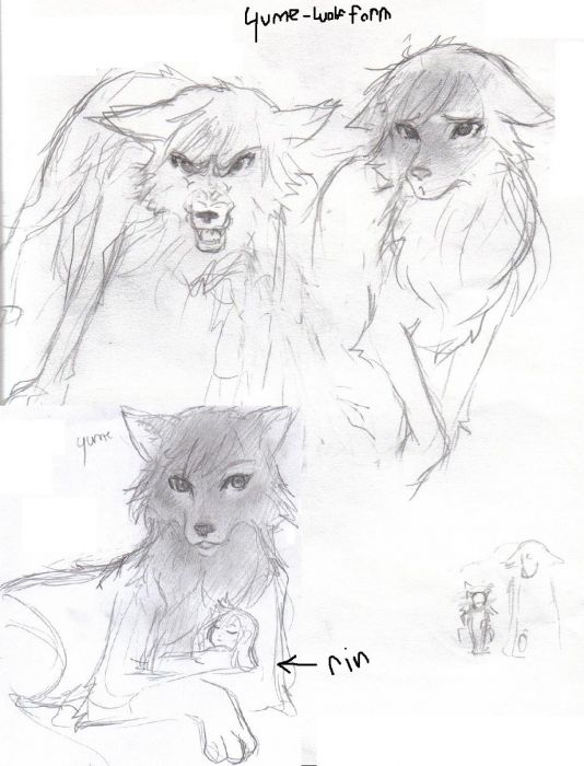 Yume In Wolf Form