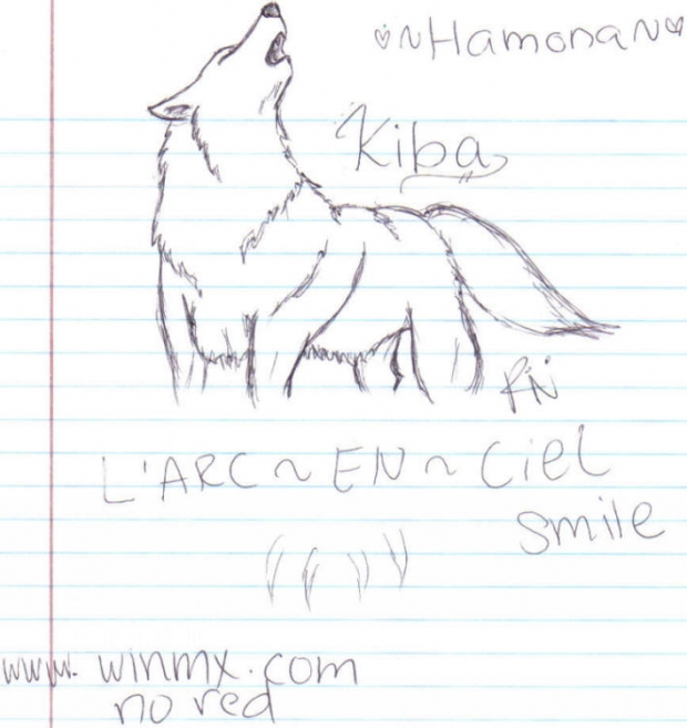 Kiba Notes