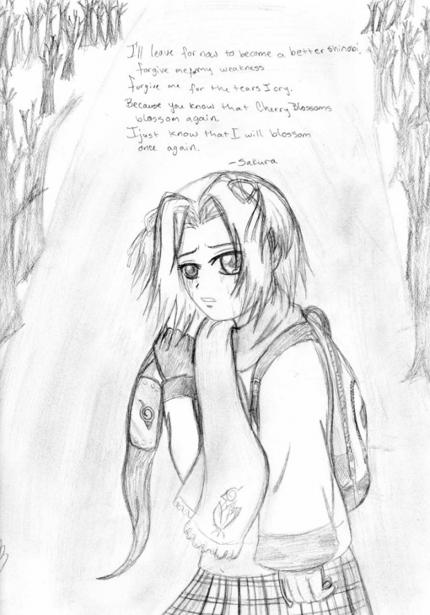 Cherry Blossoms Can Blossom Again