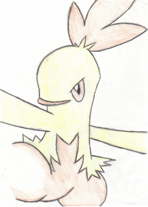 Combusken