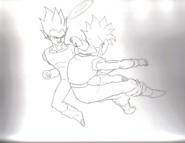 Vegeta and Goku