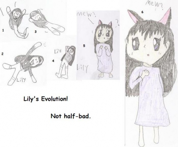 Lily Stages