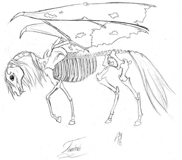 Thestral