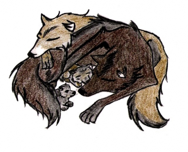 Wolfy Family Of 4 Colored