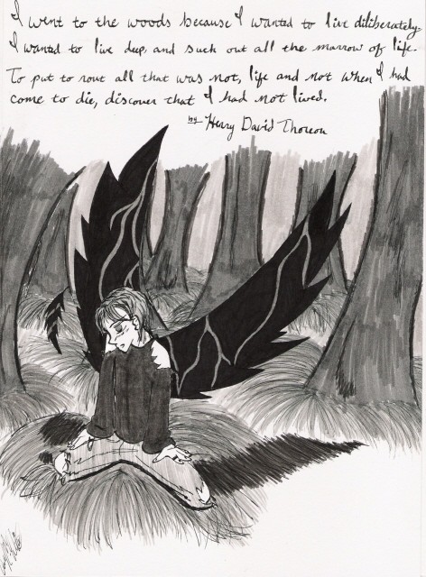 I Went To The Woods Because...