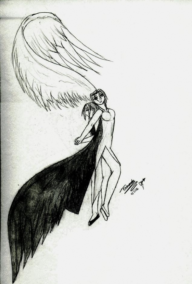 Feathered Yin-yang (old Version)