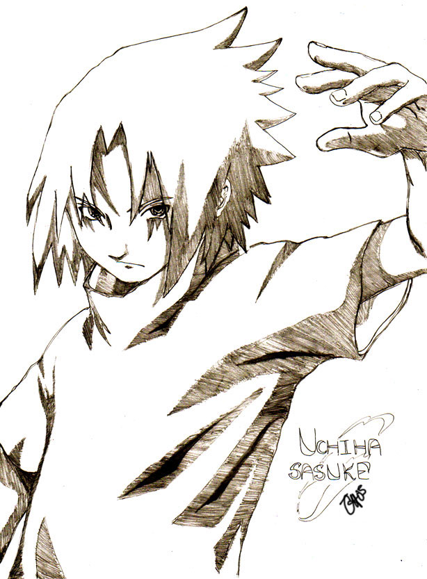 Sasuke Draft 1.0