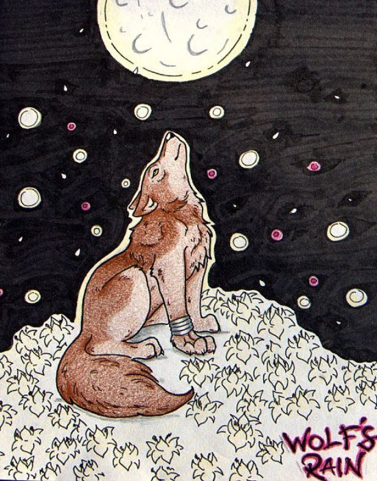 Trade-toboe's Moonlight