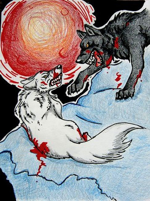 Trade-darcia Vs. Kiba