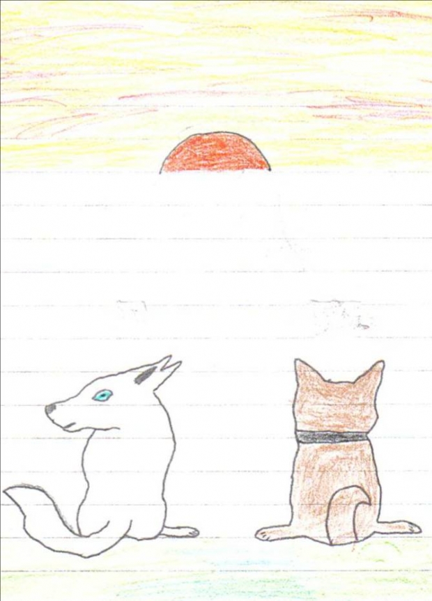 Hige And Kiba Sunset