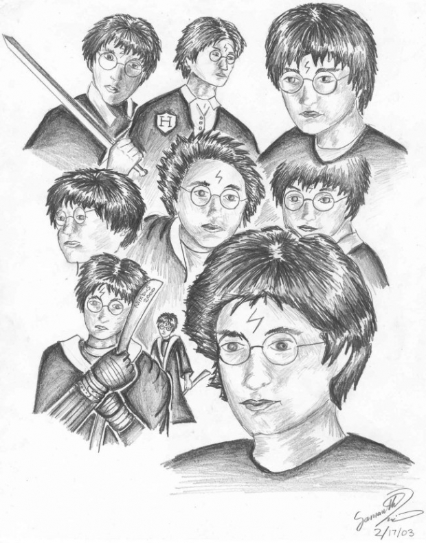 Many Faces Of Potter