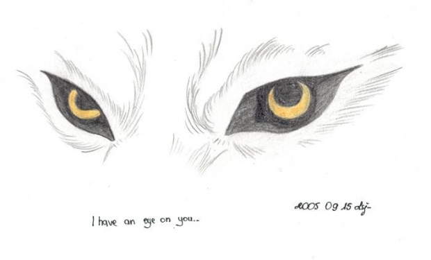 I Have An Eye On You...