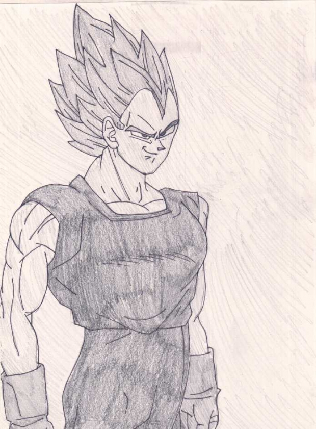 The Prince Of All Saiyans