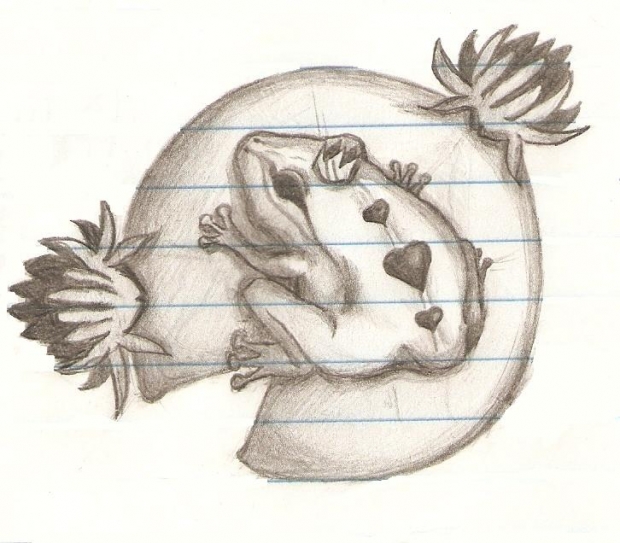 Frog Prince or Cute Froggy?