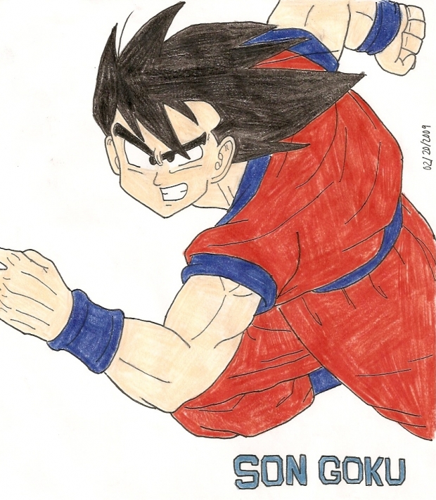Son Goku The Fighter
